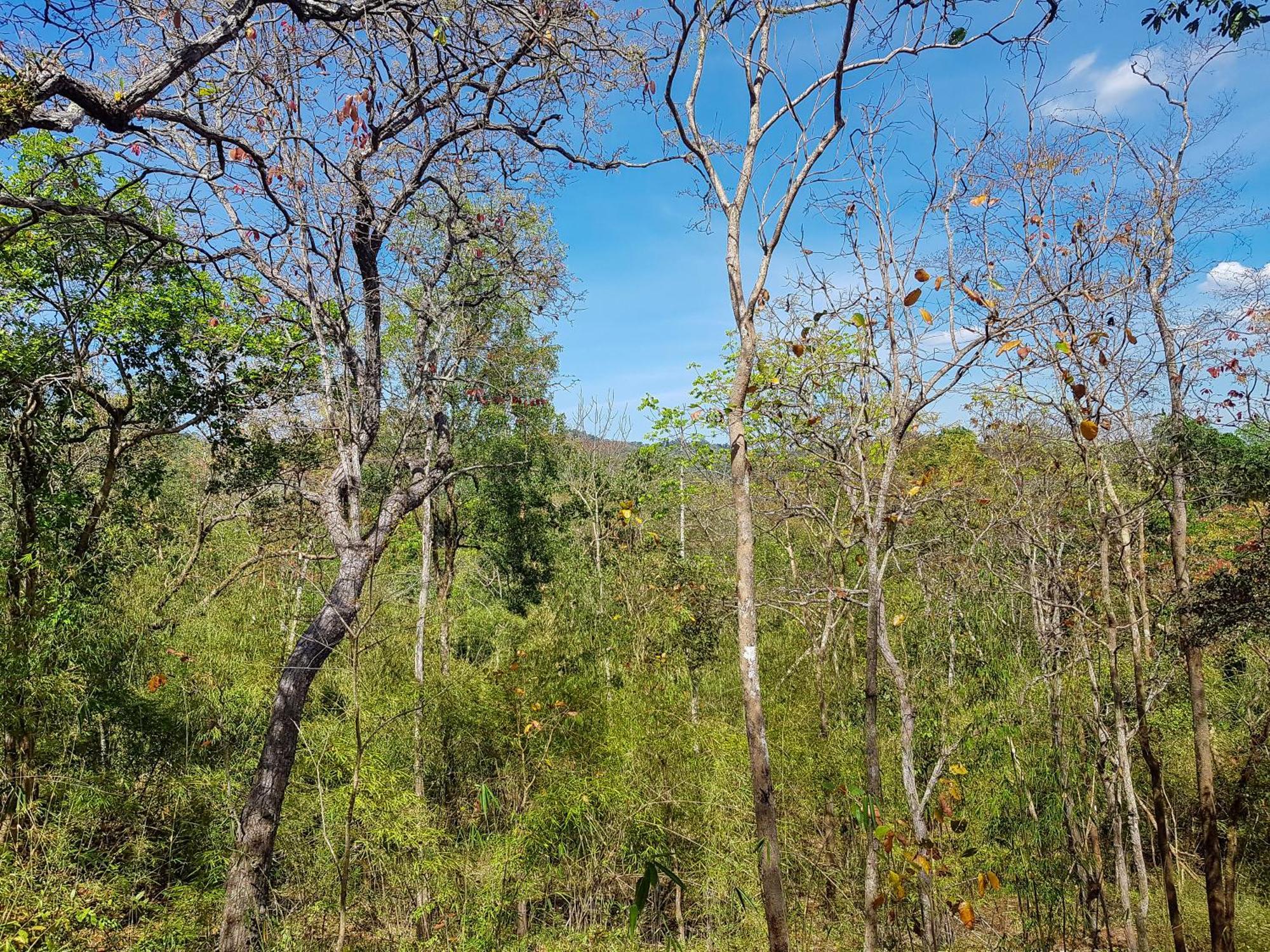 Ratanakiri Homestay & Jungle Trek Banlung Exterior photo